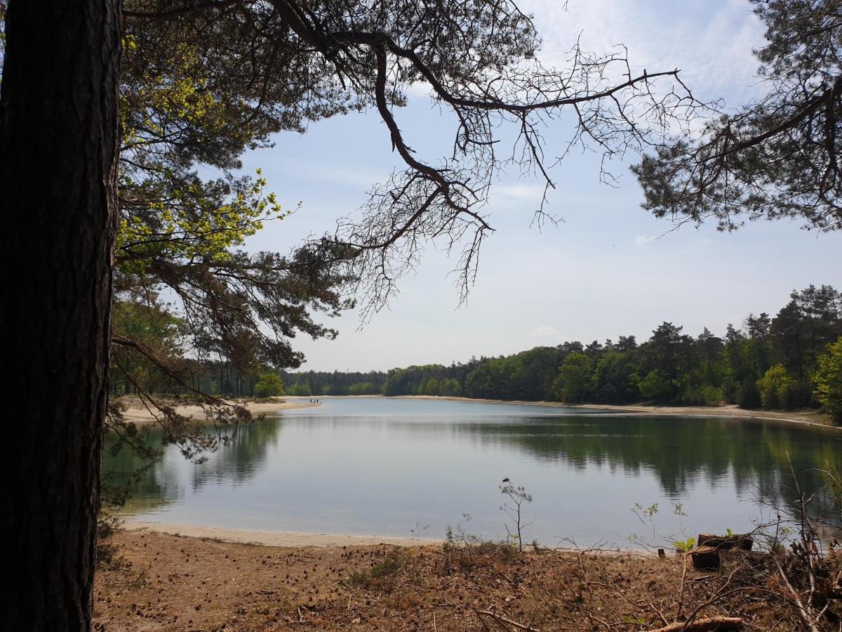 Ermerhoek, In De Hof Dış mekan fotoğraf